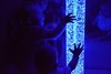 Фотогалерея дня открытых дверей для малышей 25 августа на Дубравной 