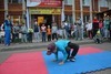 Фотогалерея концерта на улице на Дубравной в день открытых дверей 25 августа 2015 года