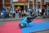 Фотогалерея концерта на улице на Дубравной в день открытых дверей 25 августа 2015 года