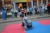 Фотогалерея концерта на улице на Дубравной в день открытых дверей 25 августа 2015 года
