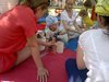 Сенсорная сказка на природе: выездное занятие для малышей от 4 месяцев до 3 лет.