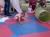 Сенсорная сказка на природе: выездное занятие для малышей от 4 месяцев до 3 лет.