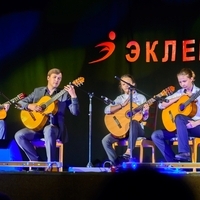 Гитара (Григорий)