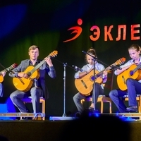 Гитара (Григорий)