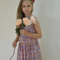 Дания