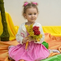 Фотосессия детского праздника "Осенняя сказка" 28 октября 2017 года