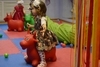 Новогодний праздник для малышей 9 января 2015 г.