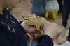 Новогодний праздник для малышей 9 января 2015 г.