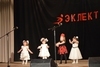 Отчетный концерт 18 января 2015 года