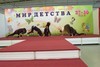 Уличные танцы. Выступает филиал на Патриса