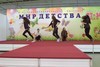 Уличные танцы. Выступает филиал на Патриса