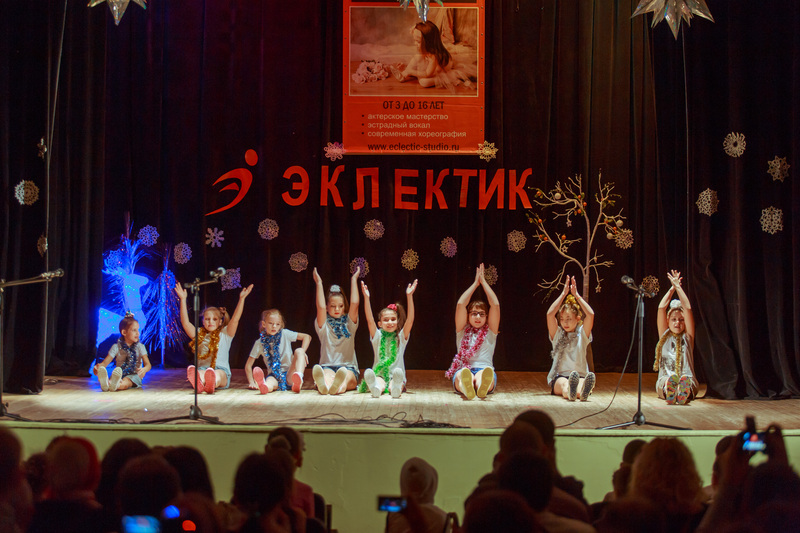 Фотогалерея новогоднего отчетного концерта 22 декабря 2013 года