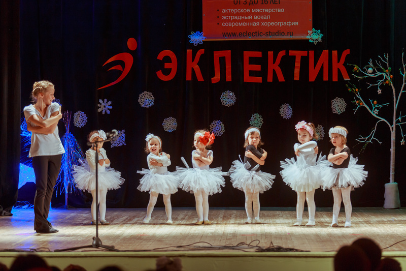 Фотогалерея новогоднего отчетного концерта 22 декабря 2013 года