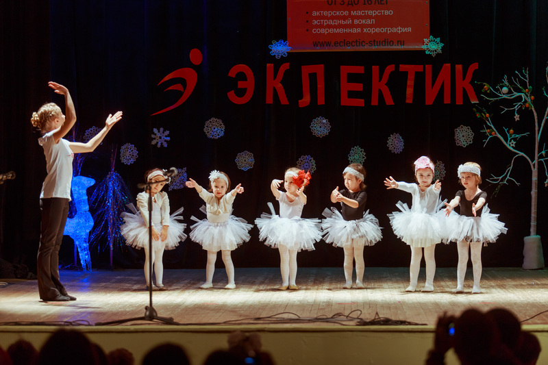 Фотогалерея новогоднего отчетного концерта 22 декабря 2013 года