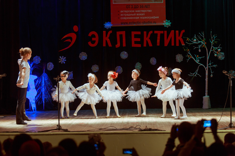 Фотогалерея новогоднего отчетного концерта 22 декабря 2013 года