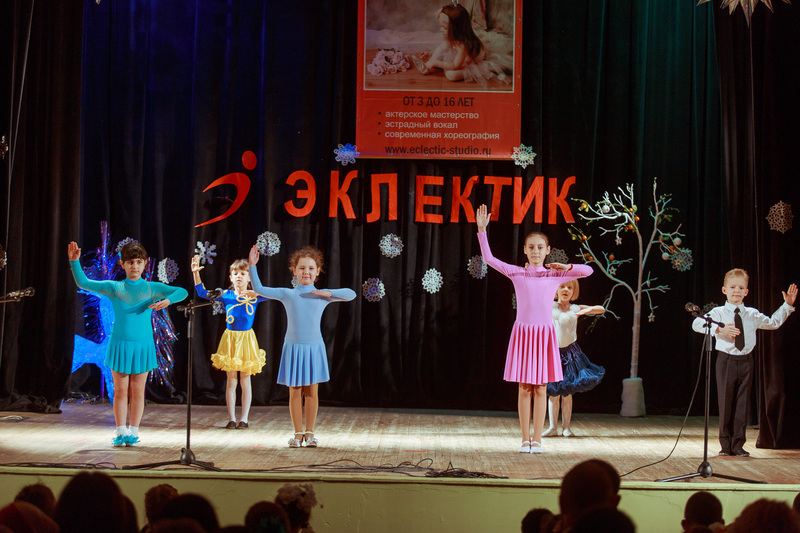 Фотогалерея новогоднего отчетного концерта 22 декабря 2013 года