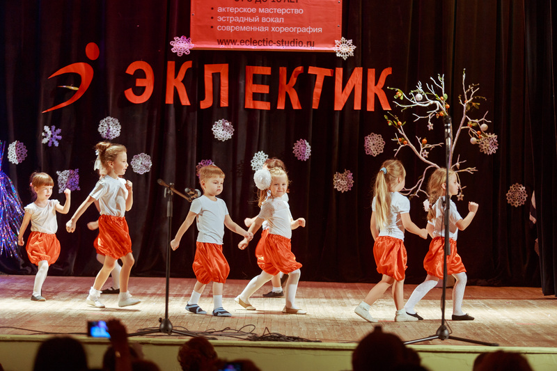 Фотогалерея новогоднего отчетного концерта 22 декабря 2013 года