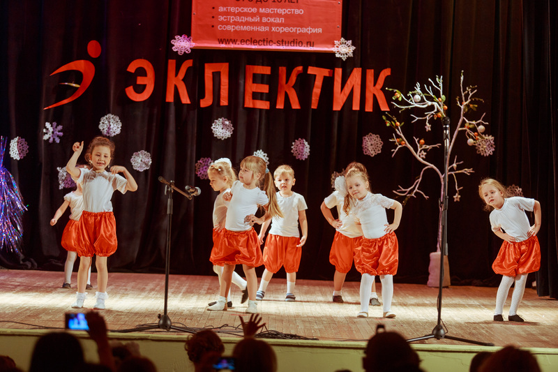 Фотогалерея новогоднего отчетного концерта 22 декабря 2013 года