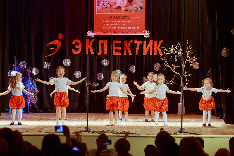 Фотогалерея новогоднего отчетного концерта 22 декабря 2013 года