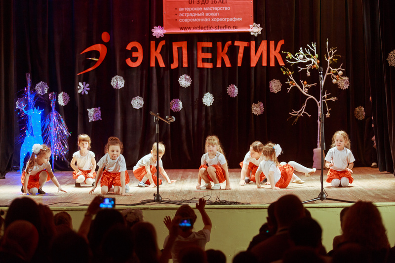 Фотогалерея новогоднего отчетного концерта 22 декабря 2013 года