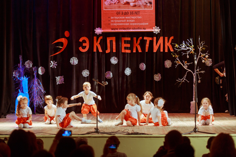 Фотогалерея новогоднего отчетного концерта 22 декабря 2013 года