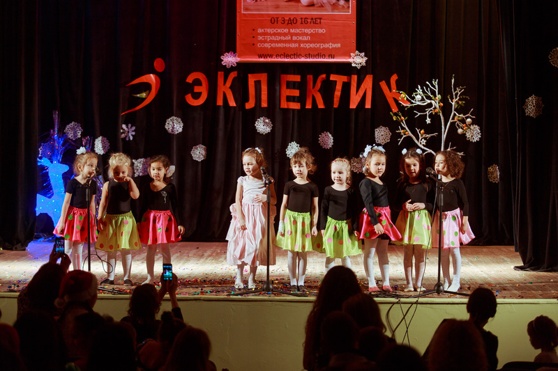 Фотогалерея новогоднего отчетного концерта 22 декабря 2013 года