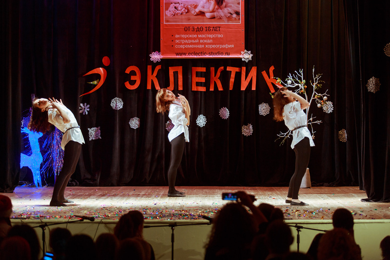 Фотогалерея новогоднего отчетного концерта 22 декабря 2013 года