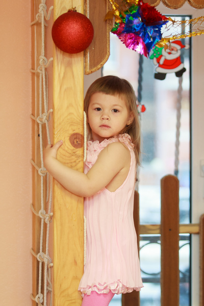 Новогодний праздник 2013 года