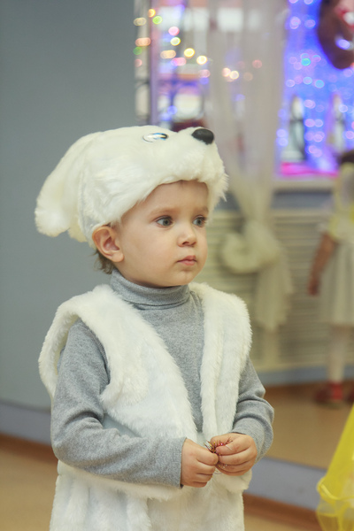 Новогодний праздник 2013 года
