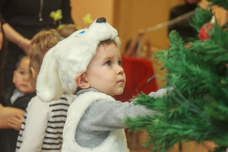 Новогодний праздник 2013 года
