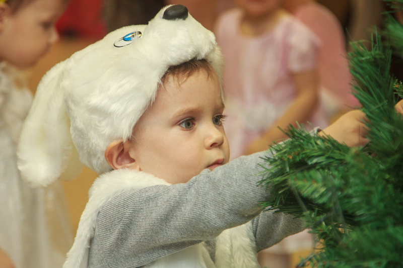 Новогодний праздник 2013 года