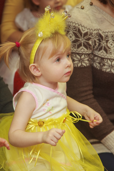 Новогодний праздник 2013 года