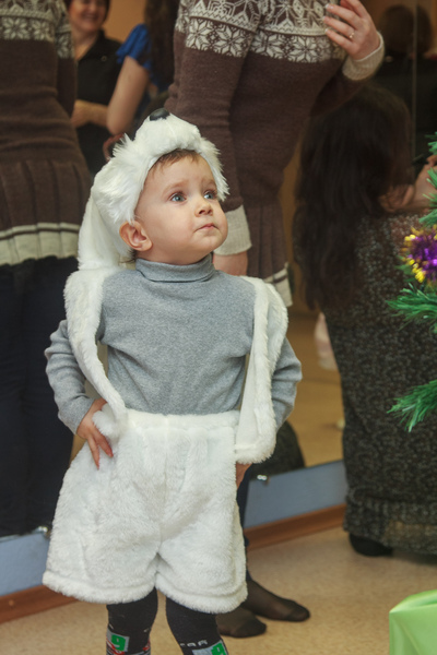 Новогодний праздник 2013 года