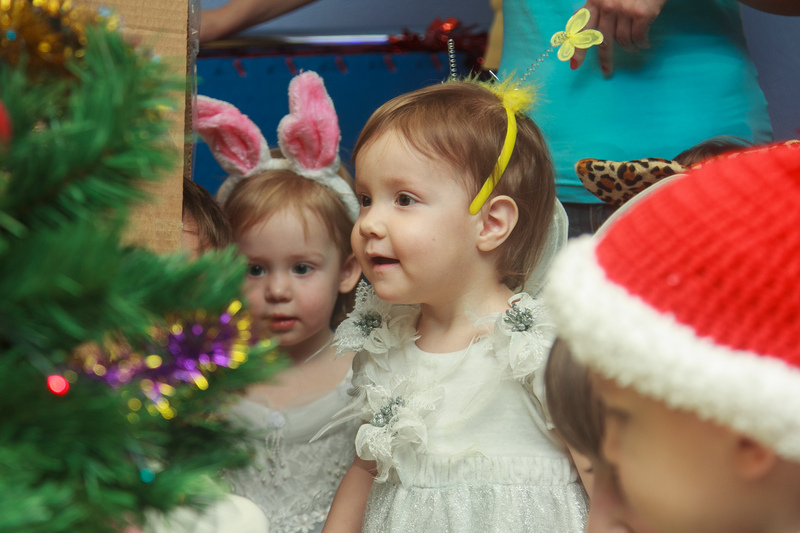 Новогодний праздник 2013 года