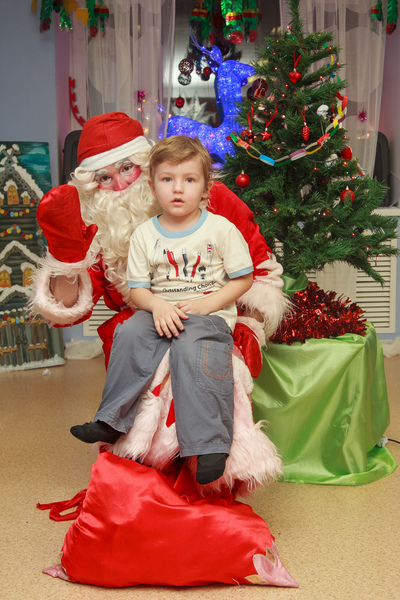 Новогодний праздник 2013 года
