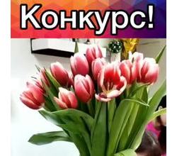 К О Н К У Р С ??????
К О Н К У Р С ??????